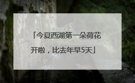 今夏西湖第一朵荷花开啦，比去年早5天