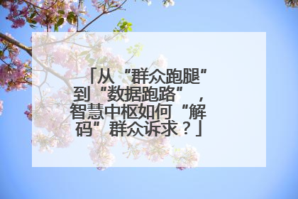 从“群众跑腿”到“数据跑路”，智慧中枢如何“解码”群众诉求？