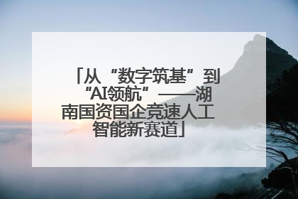从“数字筑基”到“AI领航”——湖南国资国企竞速人工智能新赛道
