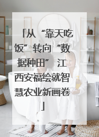 从“靠天吃饭”转向“数据种田” 江西安福绘就智慧农业新画卷