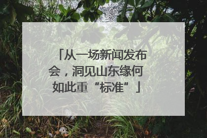 从一场新闻发布会，洞见山东缘何如此重“标准”