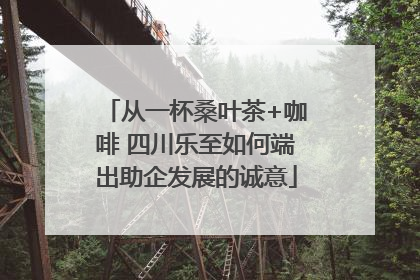 从一杯桑叶茶+咖啡 四川乐至如何端出助企发展的诚意