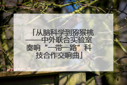从脑科学到猕猴桃——中外联合实验室奏响“一带一路”科技合作交响曲