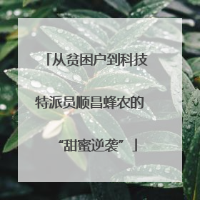 从贫困户到科技特派员顺昌蜂农的“甜蜜逆袭”