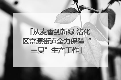 从麦香到新绿 沾化区富源街道全力保障“三夏”生产工作