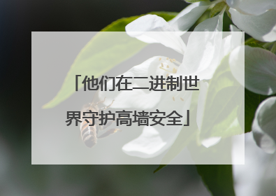 他们在二进制世界守护高墙安全