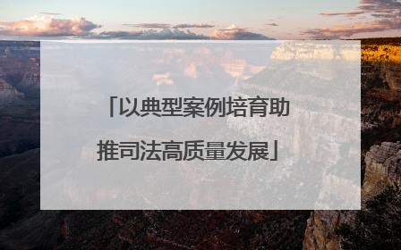 以典型案例培育助推司法高质量发展