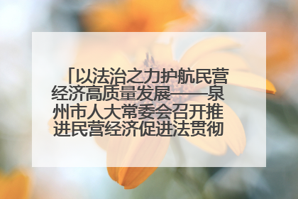 以法治之力护航民营经济高质量发展——泉州市人大常委会召开推进民营经济促进法贯彻实施座谈会