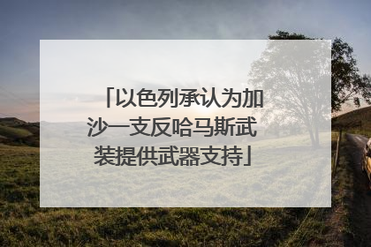 以色列承认为加沙一支反哈马斯武装提供武器支持