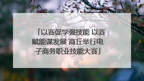 以赛促学强技能 以赛赋能谋发展 商丘举行电子商务职业技能大赛