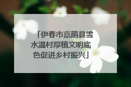 伊春市嘉荫县雪水温村厚植文明底色促进乡村振兴