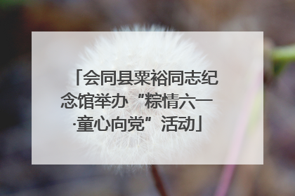 会同县粟裕同志纪念馆举办“粽情六一·童心向党”活动