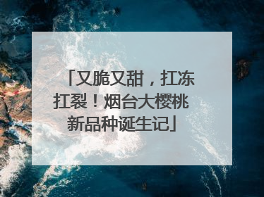 又脆又甜，扛冻扛裂！烟台大樱桃新品种诞生记