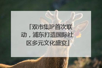 双市集IP首次联动，浦东打造国际社区多元文化盛宴