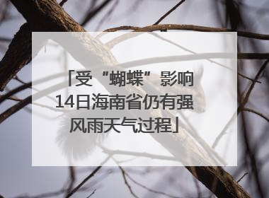 受“蝴蝶”影响 14日海南省仍有强风雨天气过程