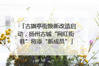 古旗亭街焕新改造启动，扬州古城“网红街巷”将添“新成员”