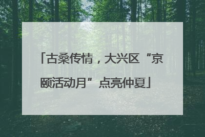 古桑传情，大兴区“京颐活动月”点亮仲夏