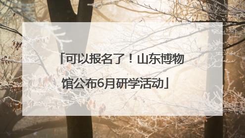 可以报名了！山东博物馆公布6月研学活动