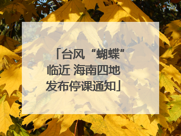 台风“蝴蝶”临近 海南四地发布停课通知