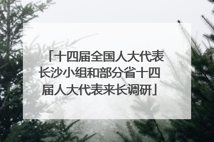 十四届全国人大代表长沙小组和部分省十四届人大代表来长调研