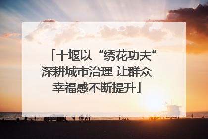 十堰以“绣花功夫”深耕城市治理 让群众幸福感不断提升