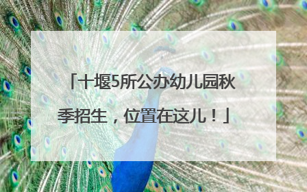 十堰5所公办幼儿园秋季招生，位置在这儿！