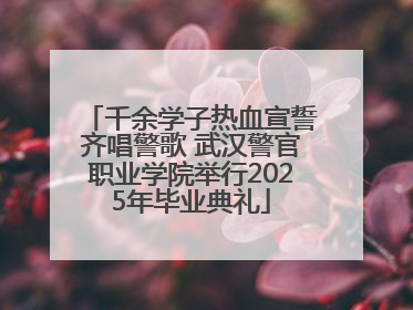 千余学子热血宣誓齐唱警歌 武汉警官职业学院举行2025年毕业典礼