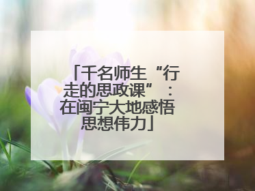 千名师生“行走的思政课”：在闽宁大地感悟思想伟力