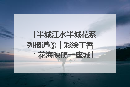半城江水半城花系列报道⑤｜彩绘丁香：花海映照一座城