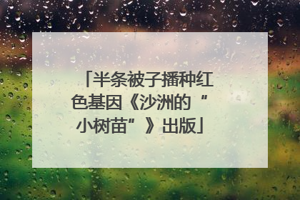 半条被子播种红色基因《沙洲的“小树苗”》出版