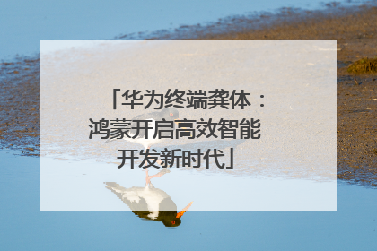 华为终端龚体：鸿蒙开启高效智能开发新时代