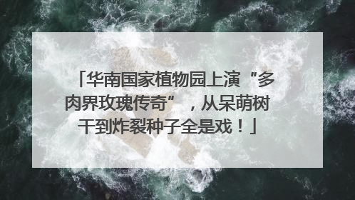 华南国家植物园上演“多肉界玫瑰传奇”，从呆萌树干到炸裂种子全是戏！