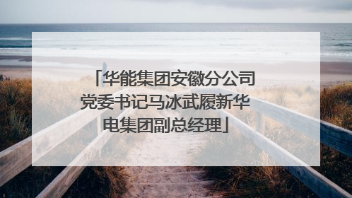 华能集团安徽分公司党委书记马冰武履新华电集团副总经理