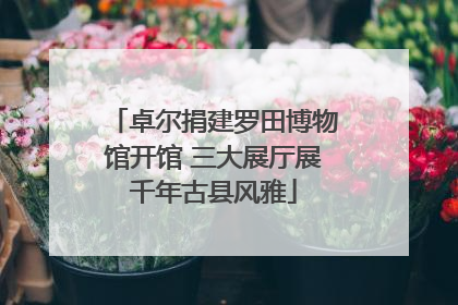 卓尔捐建罗田博物馆开馆 三大展厅展千年古县风雅