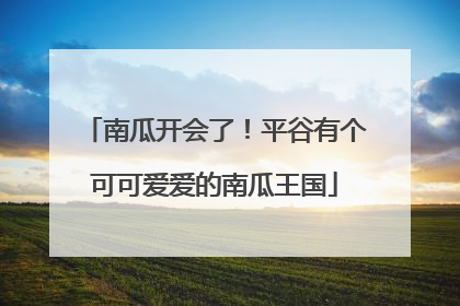 南瓜开会了！平谷有个可可爱爱的南瓜王国