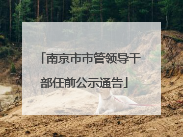 南京市市管领导干部任前公示通告