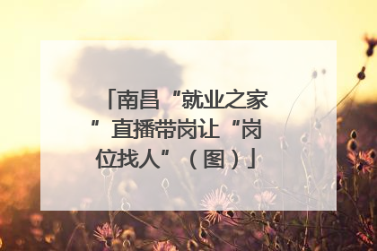 南昌“就业之家”直播带岗让“岗位找人”（图）