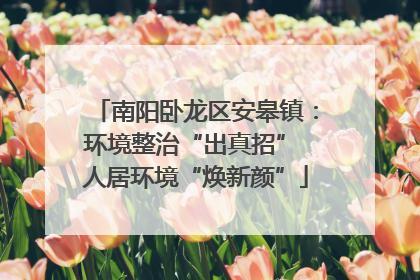 南阳卧龙区安皋镇：环境整治“出真招” 人居环境“焕新颜”
