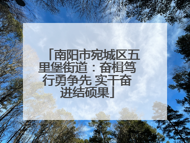 南阳市宛城区五里堡街道：奋楫笃行勇争先 实干奋进结硕果