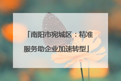 南阳市宛城区：精准服务助企业加速转型