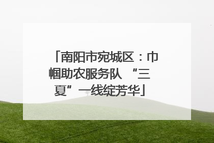 南阳市宛城区：巾帼助农服务队 “三夏”一线绽芳华