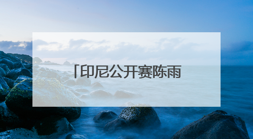 印尼公开赛陈雨菲因伤退出“内战”，国羽各单项唯男双表现差劲