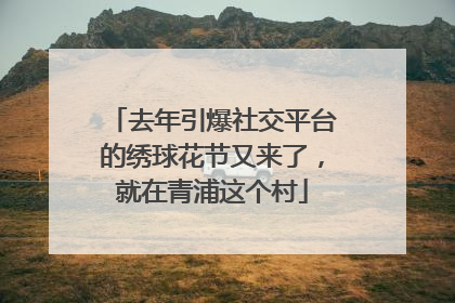 去年引爆社交平台的绣球花节又来了，就在青浦这个村