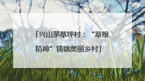 兴山茅草坪村：“草根精神”铸就美丽乡村