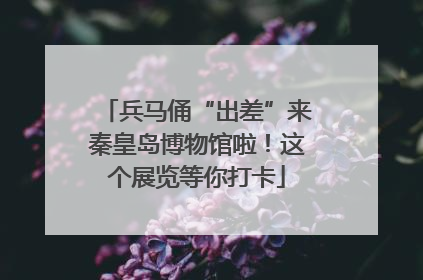 兵马俑“出差”来秦皇岛博物馆啦！这个展览等你打卡