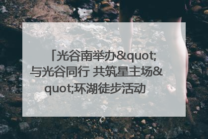 光谷南举办"与光谷同行 共筑星主场"环湖徒步活动 吸引500余名市民参与