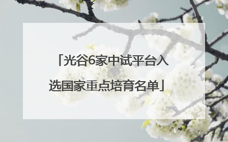 光谷6家中试平台入选国家重点培育名单