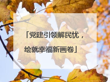 党建引领解民忧，绘就幸福新画卷