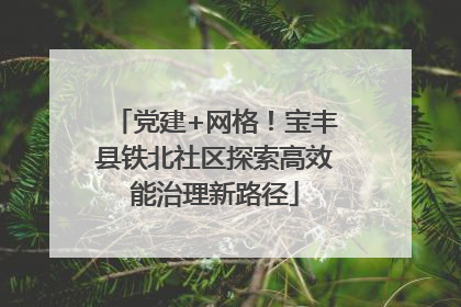 党建+网格！宝丰县铁北社区探索高效能治理新路径
