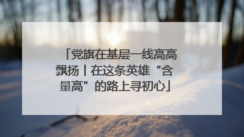 党旗在基层一线高高飘扬丨在这条英雄“含量高”的路上寻初心